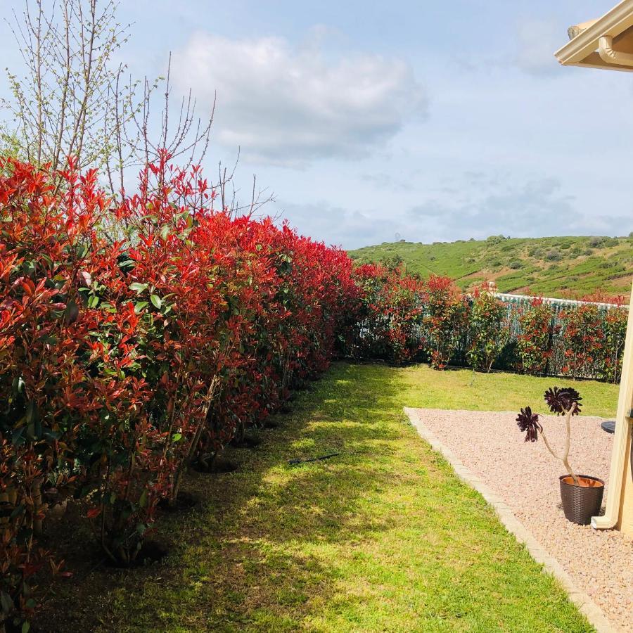 אפייטו Mini-Villa Mitoyenne De Type F2 Proche Golfe De Lava מראה חיצוני תמונה