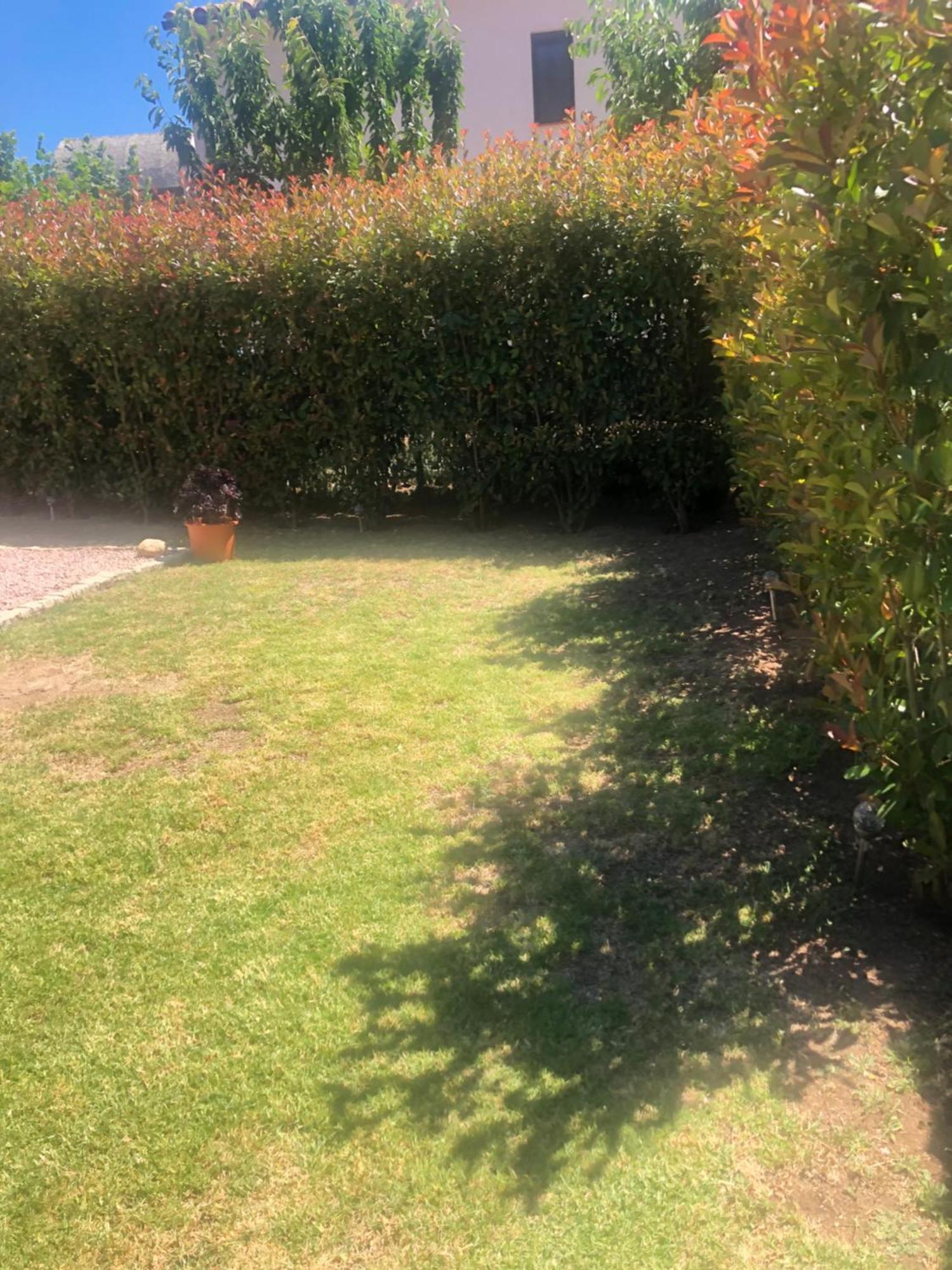 אפייטו Mini-Villa Mitoyenne De Type F2 Proche Golfe De Lava מראה חיצוני תמונה
